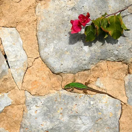 Κατάλυμα σε φάρμα Spirdo *